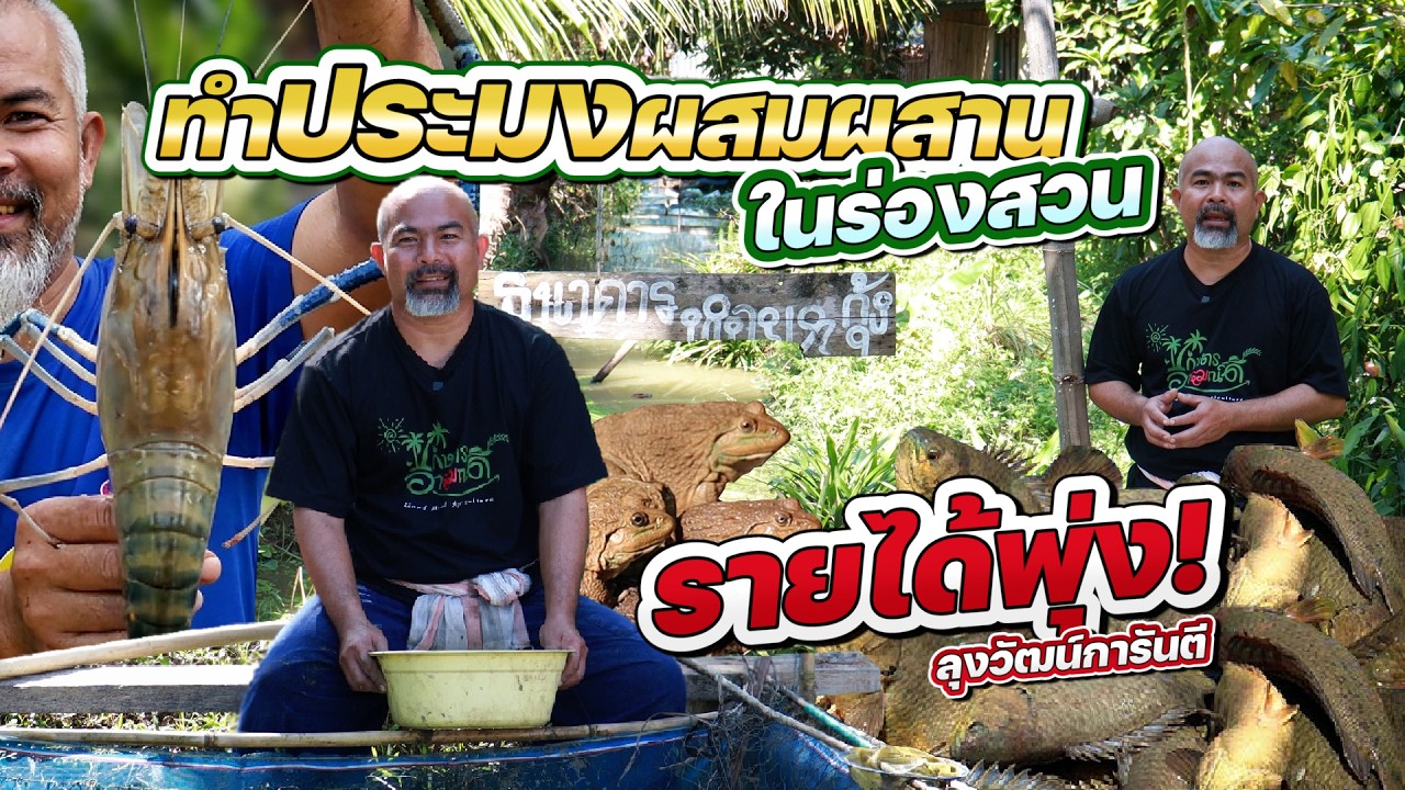 ทำประมงผสมผสานในร่องสวน สร้างแหล่งอาหารเพิ่มรายได้ #เกษตรอารมณ์ดี