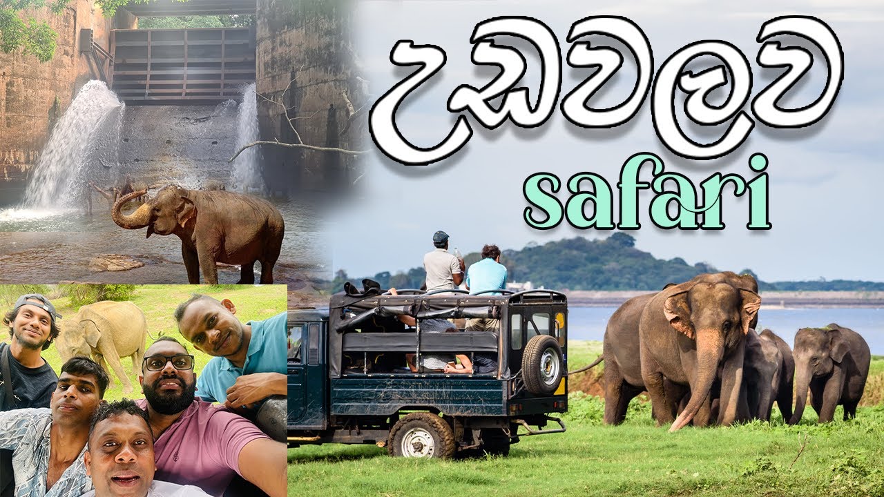 Things to do in udawalawa/ උඩවලව සෆාරි යමුද?