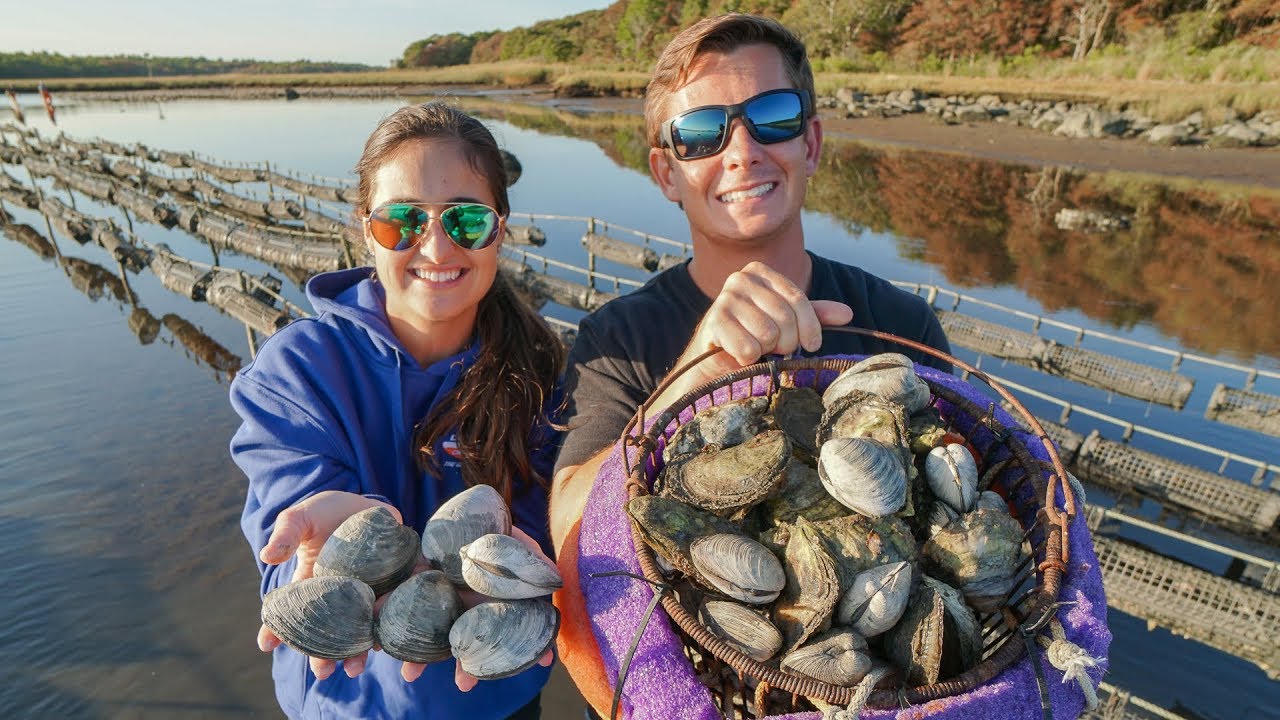 WHY Oysters are EXPENSIVE! Coastal Foraging (Oyster Farm Tour)-New England pt.1