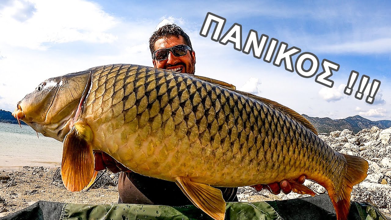 Πανικός σε αυτό το Ψάρεμα μην το Χάσεις * Bonkers Baits Greece *