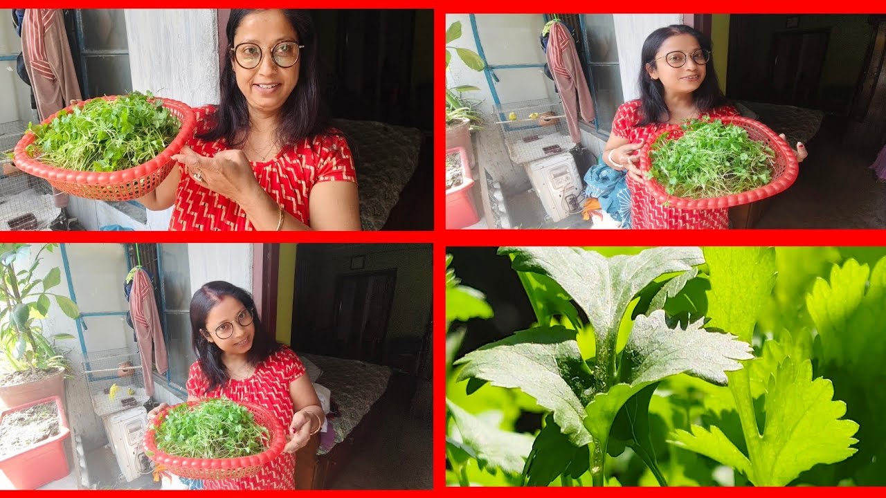 Bengali vlog ✅ এত নরম আর এত সুন্দর 🥰 আমার খুব মায়া🫂 হচ্ছিল