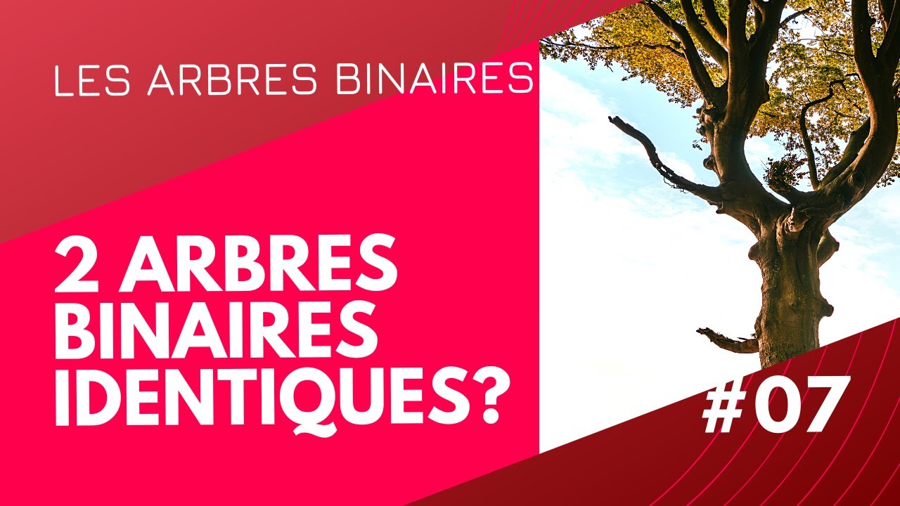 #06 - Deux Arbres binaires Identiques ? fonction de vérification
