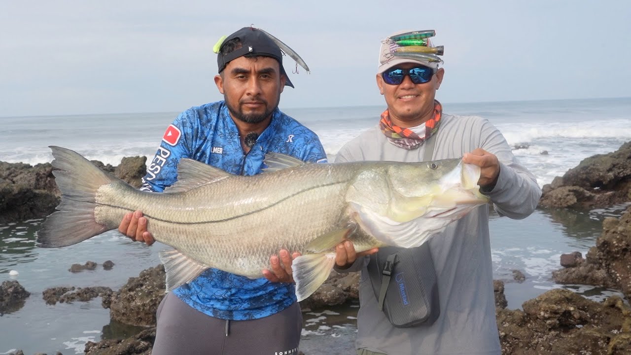 Increíble Donde Pescan Estos Pescadores , Pesca Y Cocina