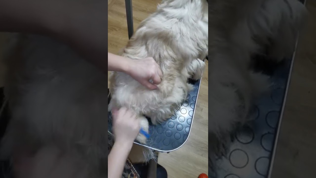 тримминг. положение руки во время тримминга.