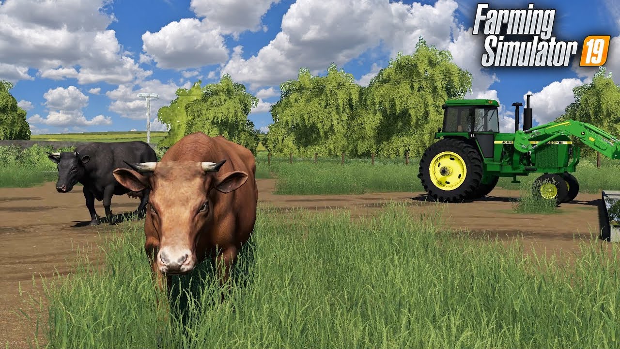 FS19- BUYING A LOAD OF CATTLE & GETTING DAIRY FACILITY UP & RUNNING