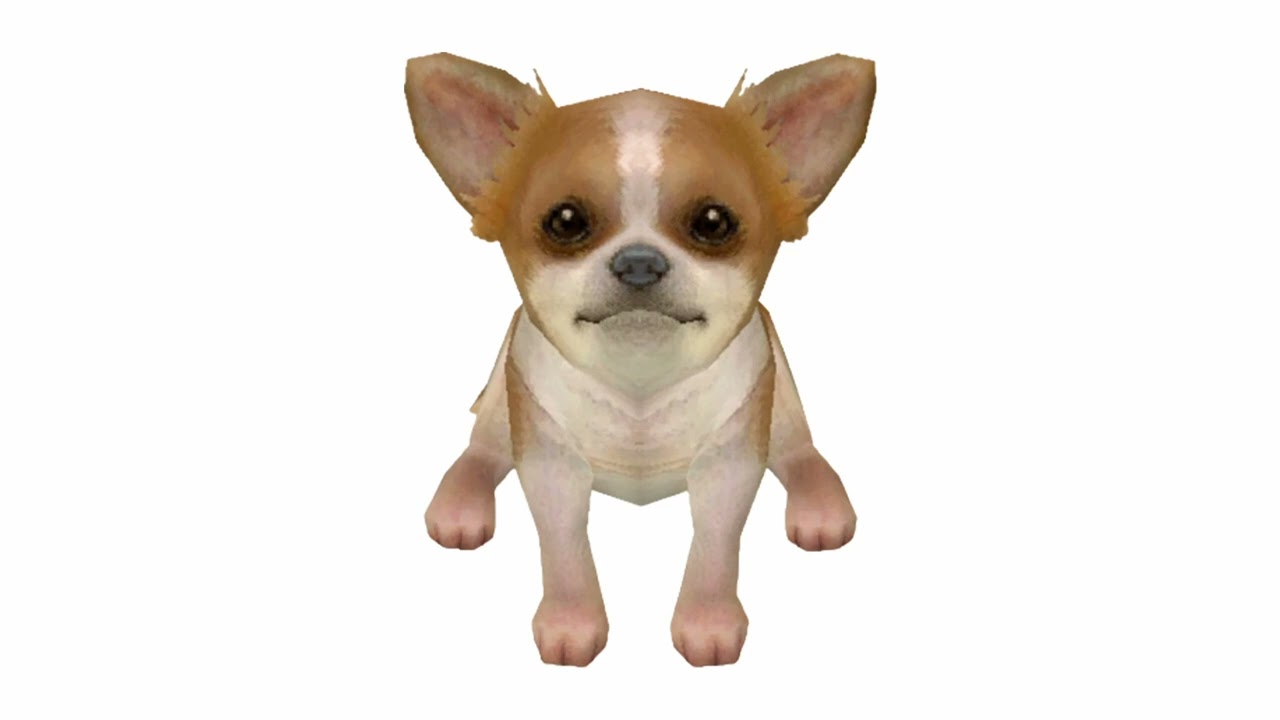 cute nintendogs tunes to walk your dog to