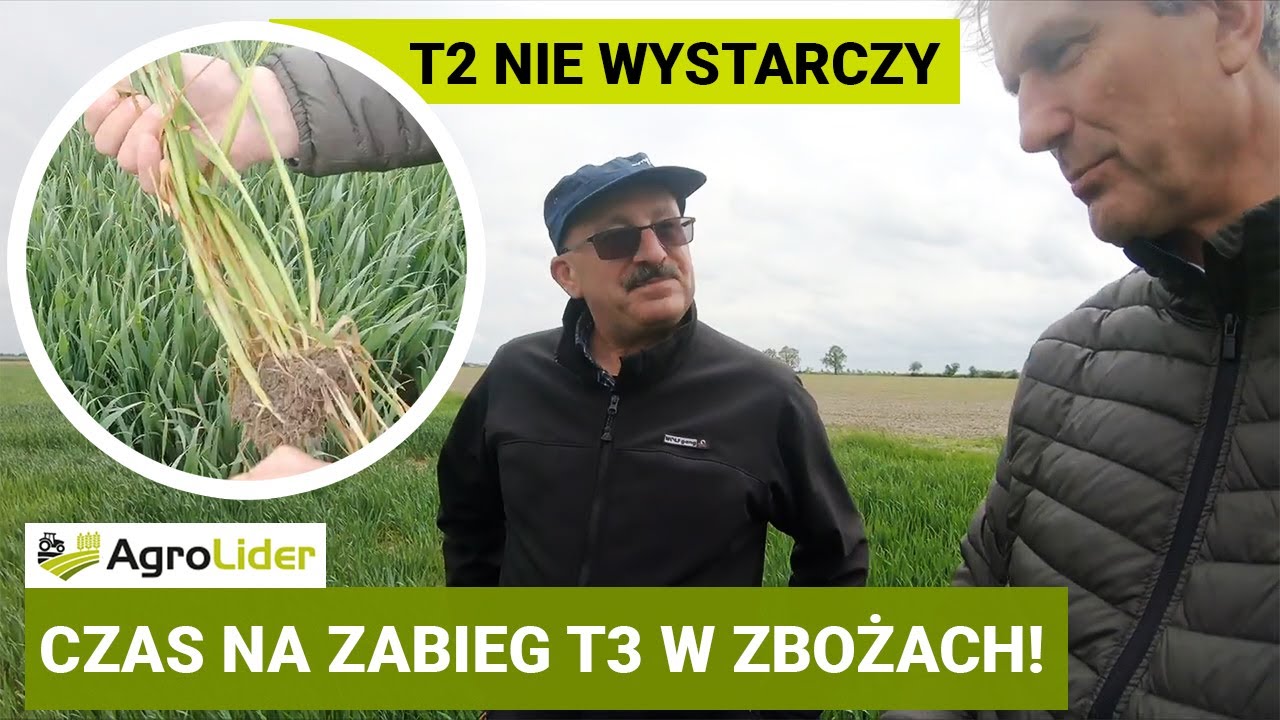 Czas na zabieg T3 w zbożach - kiedy T2 nie wystarczy | AGROLIDER | TURBO PAK