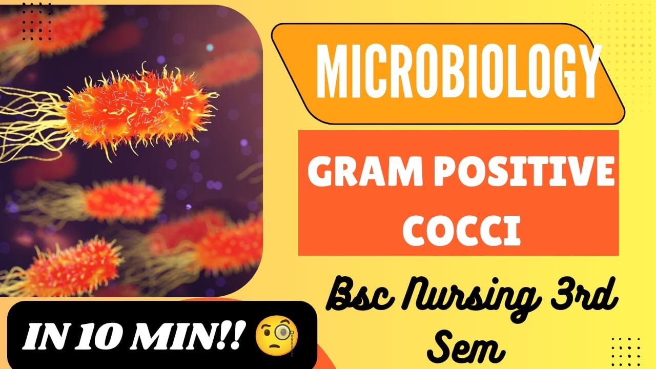 GRAM POSITIVE COCCI || Microbiology || B.Sc. Nursing 3rd Sem || Exam tricks