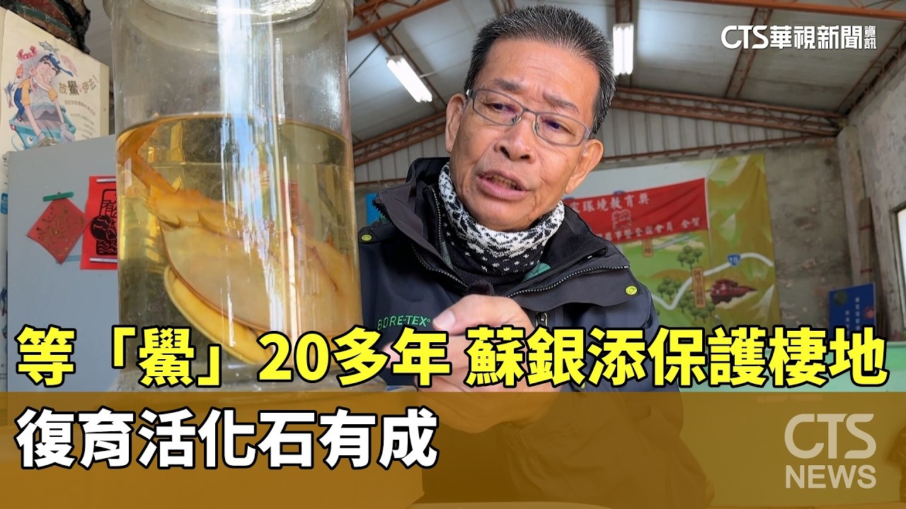 等「鱟」　20多年　蘇銀添保護棲地　復育活化石有成｜華視新聞 20260314 @華視新聞 CH52