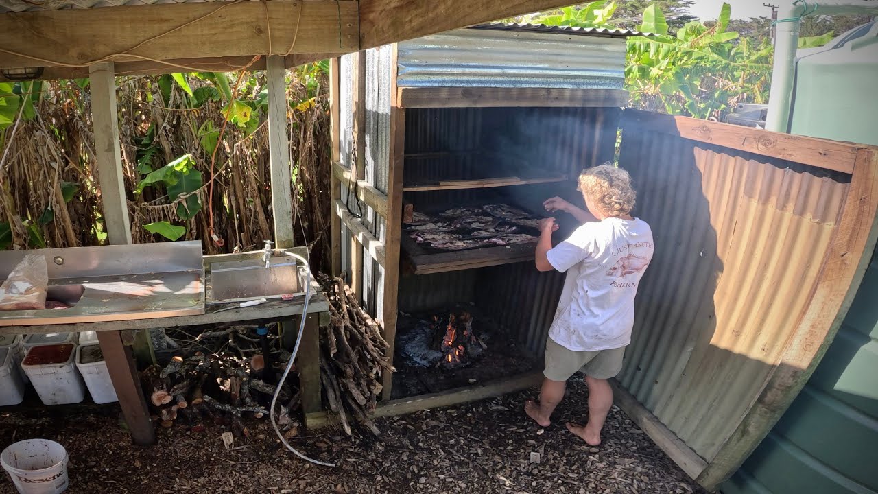 How To Smoke Mullet ( Catching Them First )