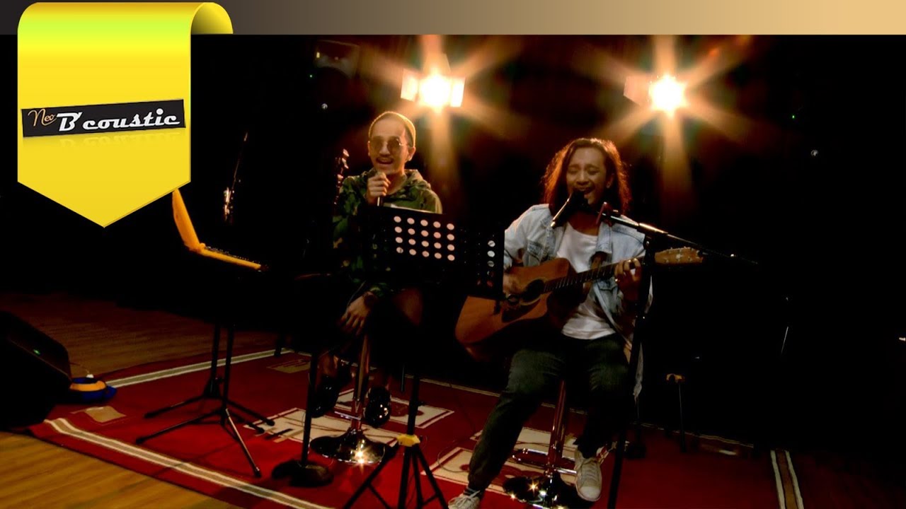 NEO BCOUSTIC - Stereocase