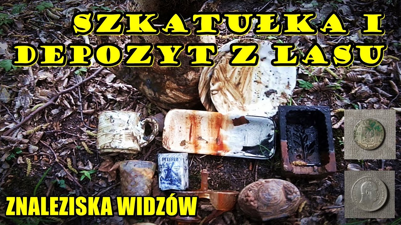 SZKATUŁKA I LEŚNY DEPOZYT. ZNALEZISKA WIDZÓW
