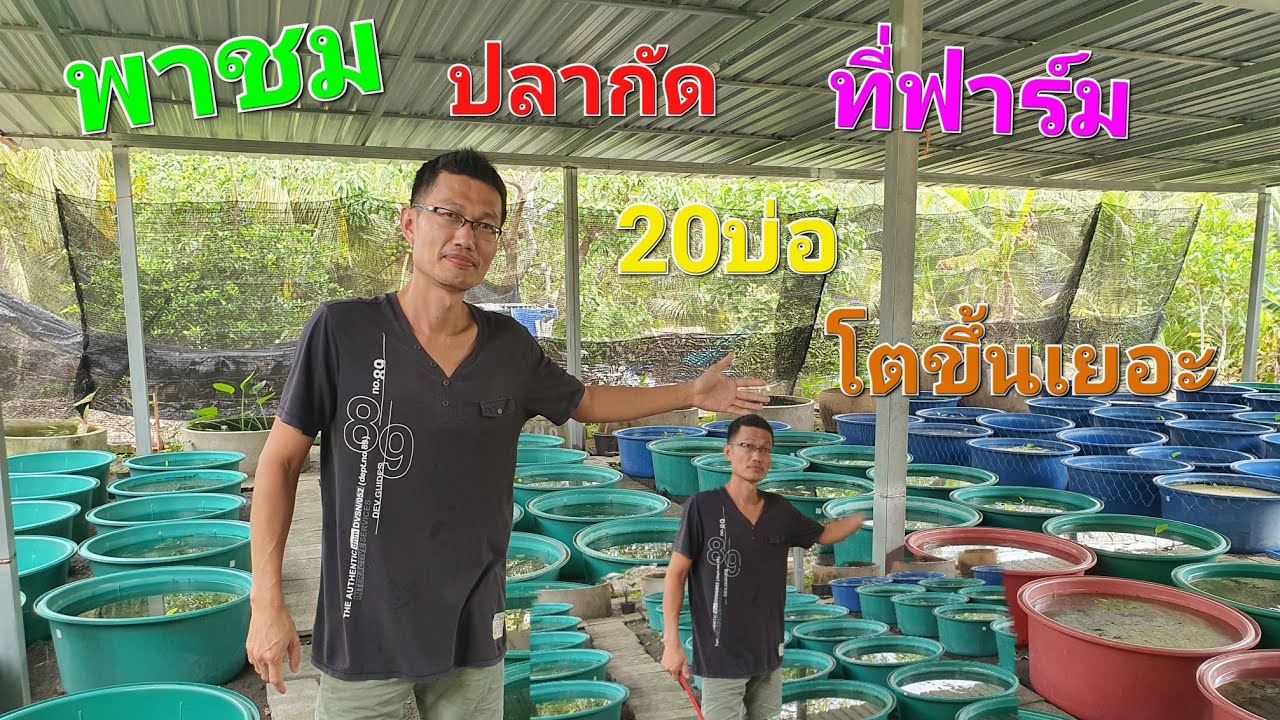พาชมปลากัดที่ฟาร์ม 20บ่อ