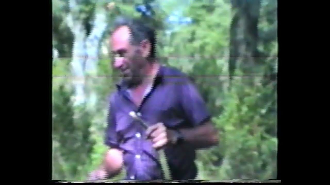 Extracción de taninos del encino