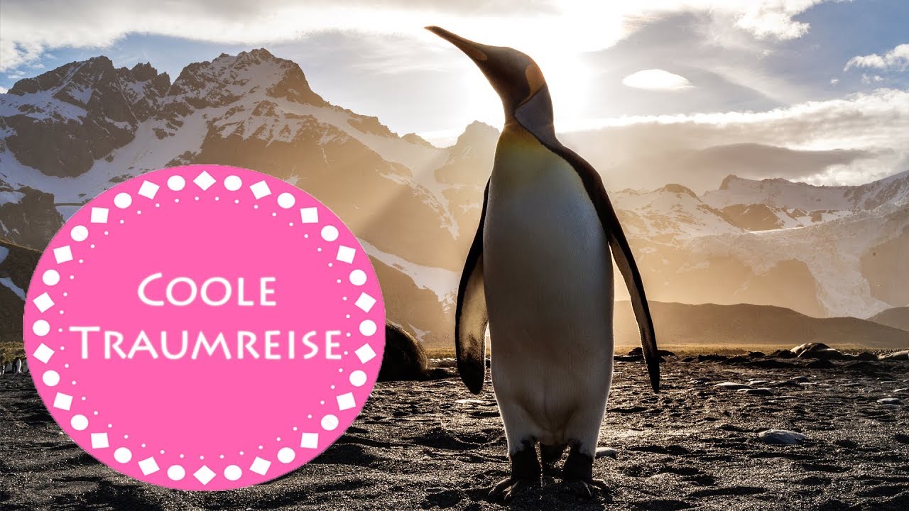 Kühlende Traumreise: Pinguinis großes Abenteuer (geflüstert)
