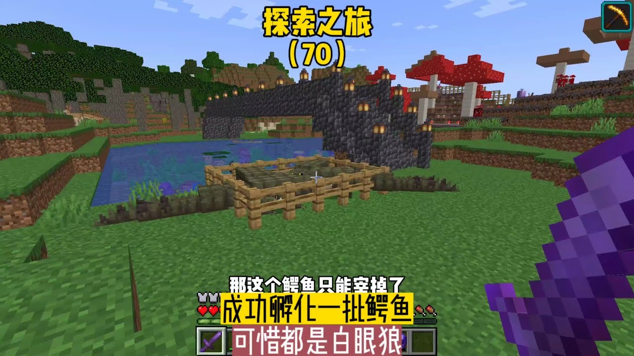 探索之旅（70）：成功孵化一批鱷魚，可惜都是白眼狼 #我的世界 #MC #我的世界烧鸡 #Minecraft #MOD