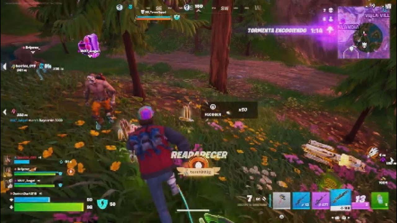 Nos mataron al pro!!! D: