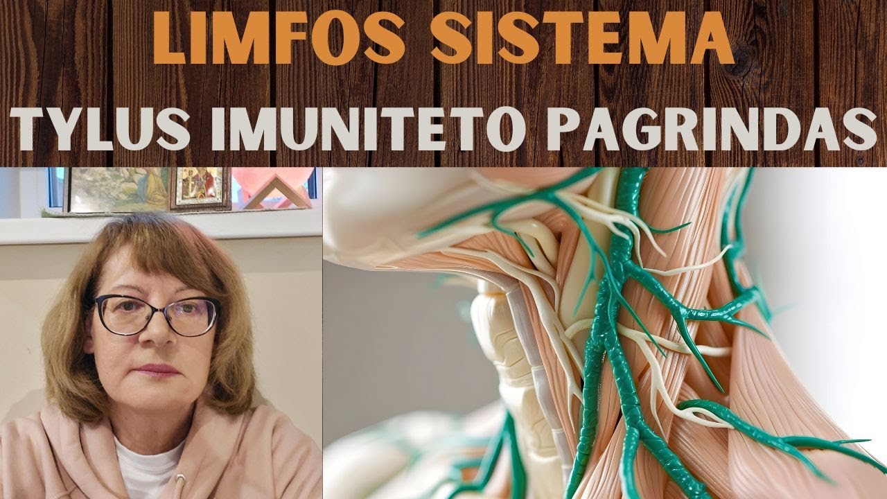 Limfa. Kas tai iš tikrųjų? | Imunitetą stiprinantis organas
