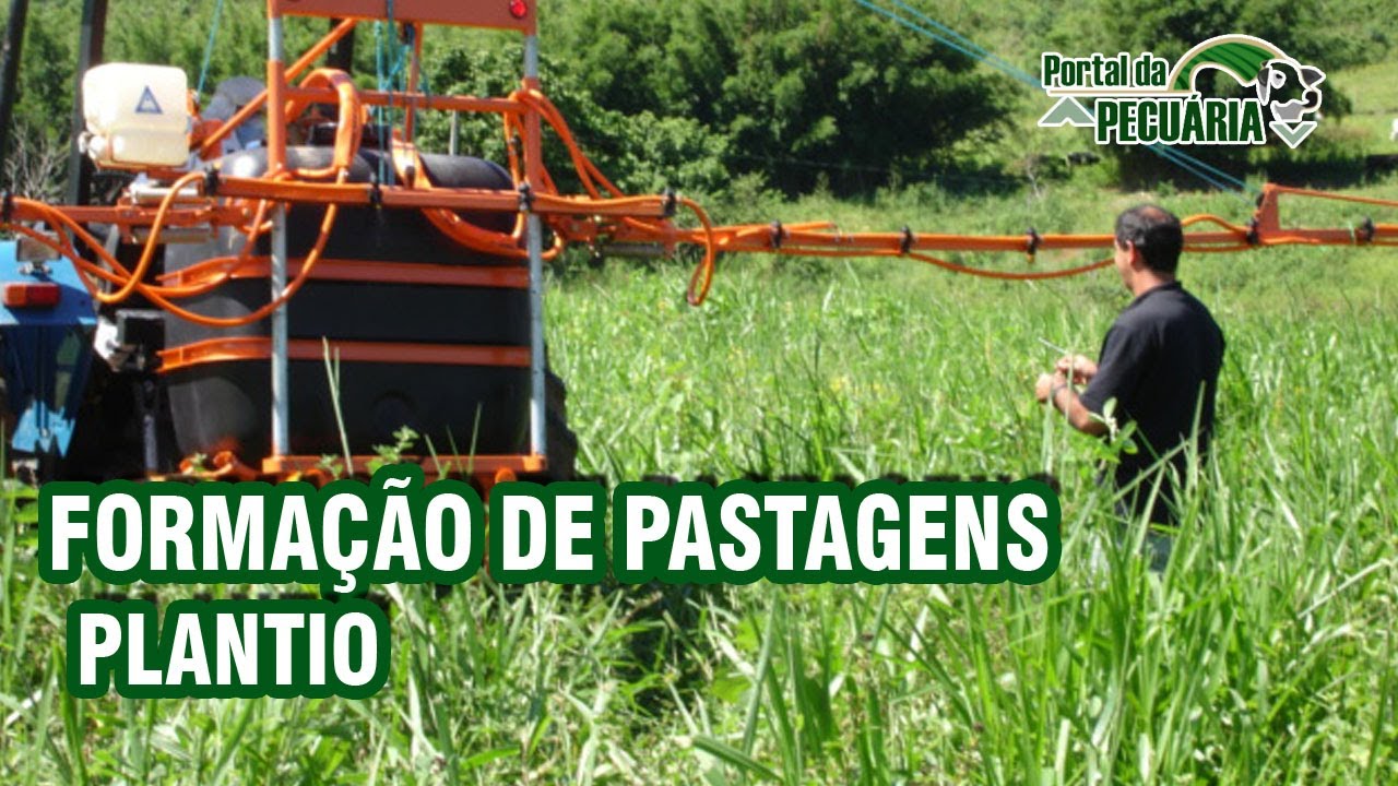 Formação pastagens  - Plantio