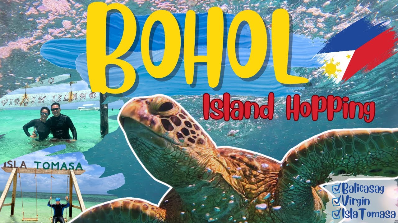 BOHOL  🇵🇭 || ISLAND HOPPING🏝 - BALICASAG ISLAND🤿, VIRGIN ISLAND🪸, & ISLA TOMASA 🐠