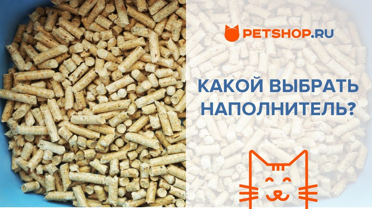 Какой наполнитель лучше? Наполнители для кошачьего туалета