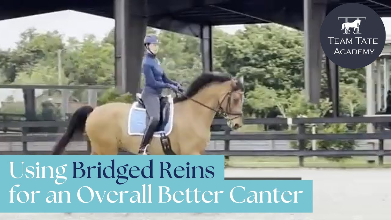 Using Bridged Reins for an Overall Better Canter