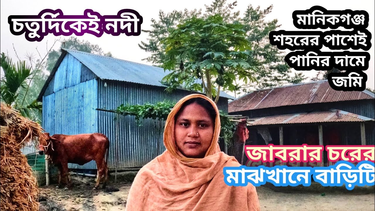 চরের বুকে পানির দামে জমি খামার করার উপযোগী মানিকগঞ্জ শহরের পাশেই || জমি ভাড়ায় ও পাওয়া যায় ||