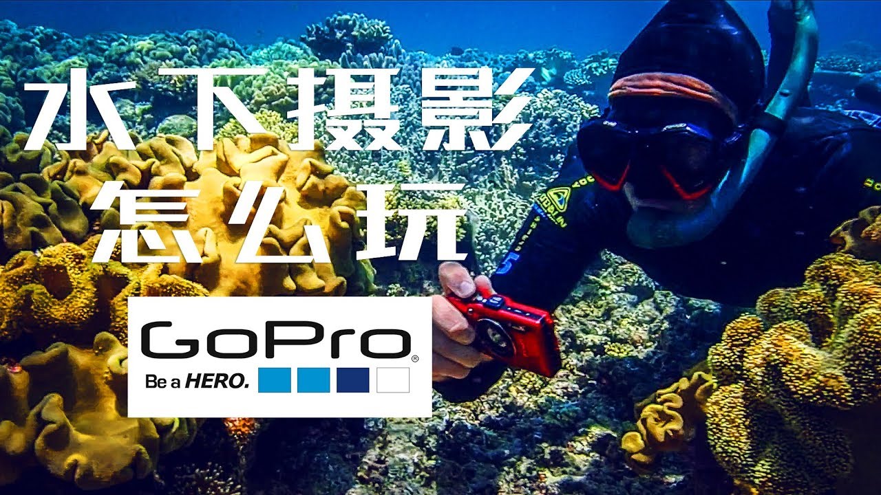 水下摄影怎么玩？Gopro还是潜水相机？ |【彩蜂摄影生活杂志 VLOG】