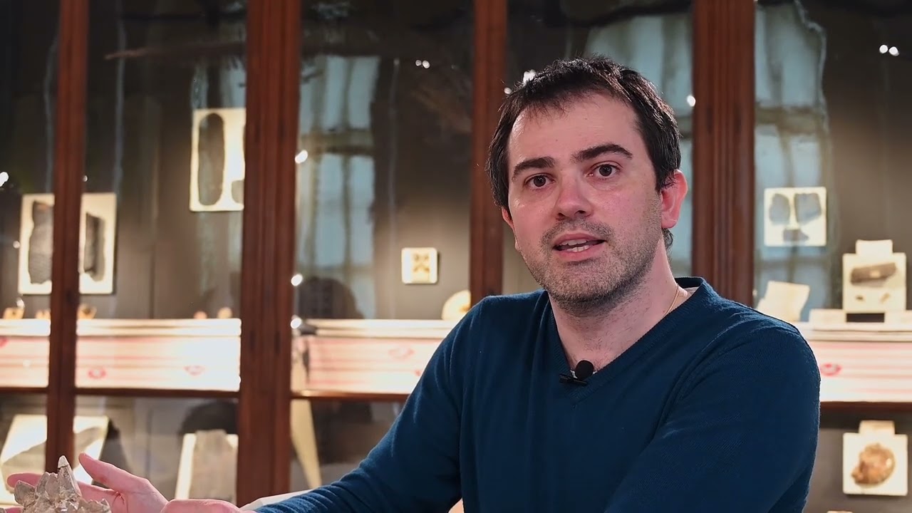 L'Anthracotherum par Christophe