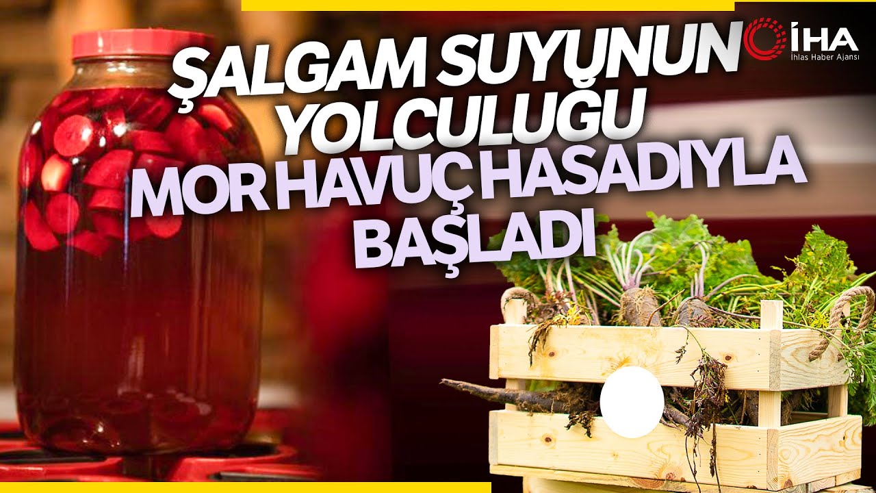 Mor Havuçtan Üretilen Şalgam İçin Hasat Başladı