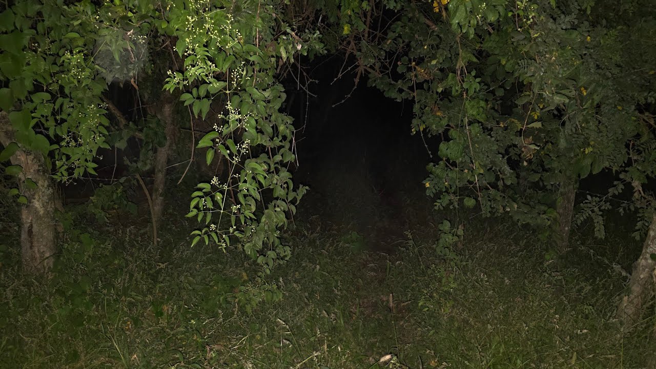 Este es Otro Callejón Super Tétrico Vamos a Explorarlo 