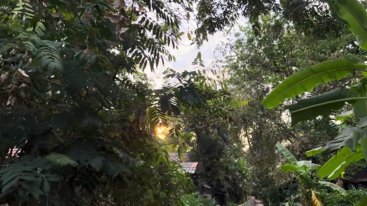 story of beauty with nature  ❤️ #peace #summer #relax #mindentertainment @MindEntertainment-p3r