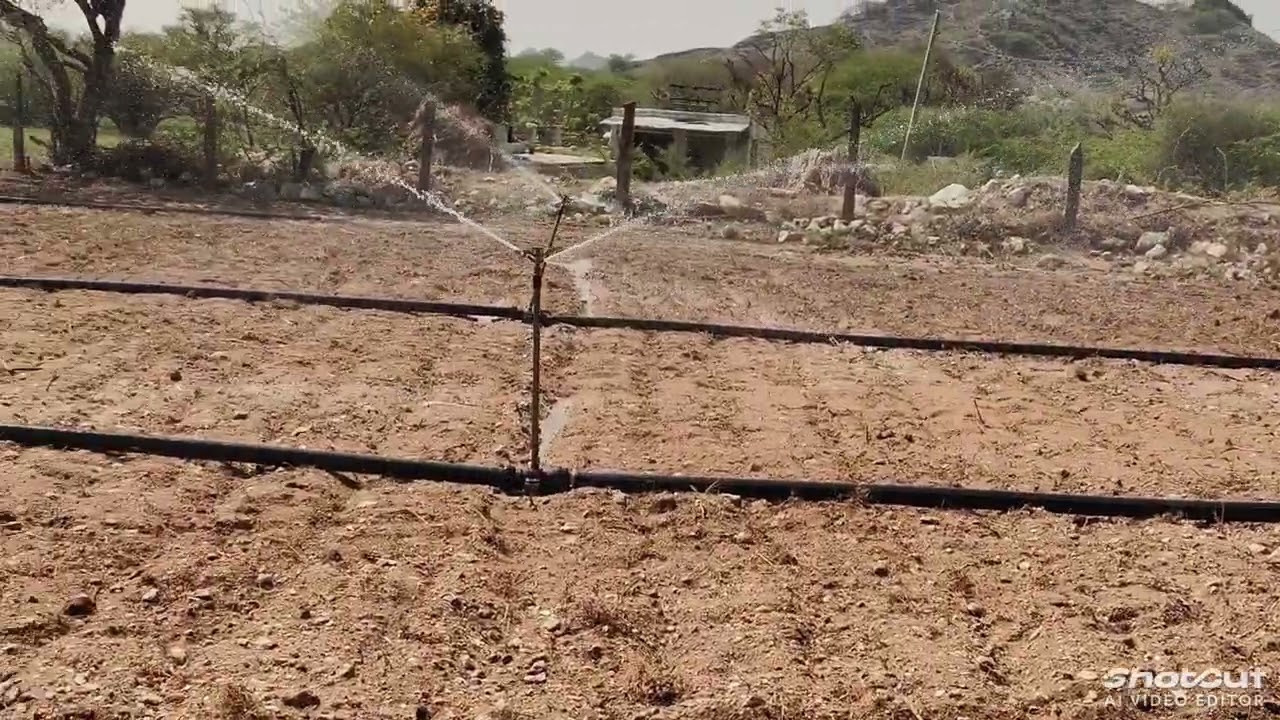 2 Minutes of Real Village Life 🌾🏡