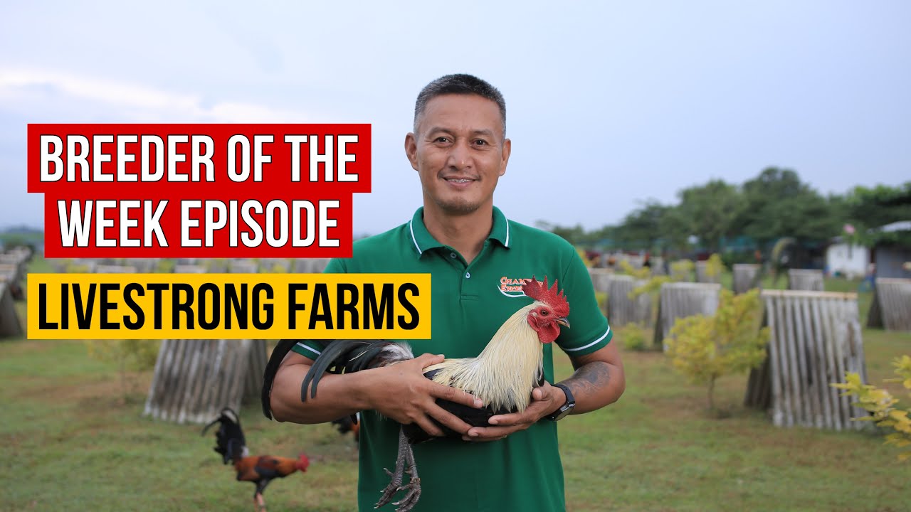 Breeder of the Week Episode | Thank you Excellence