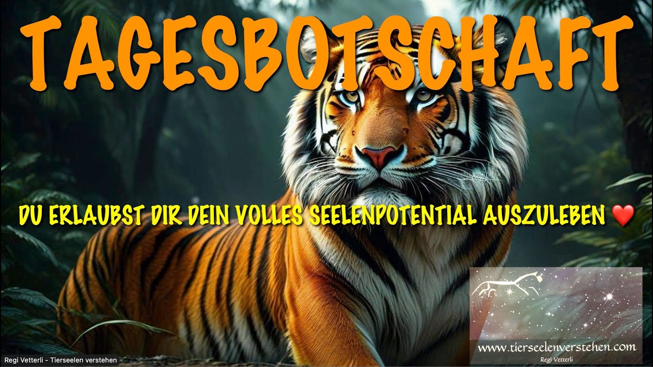 TAGESBOTSCHAFT: LEBE DEIN VOLLES SEELENPOTENTIAL AUS