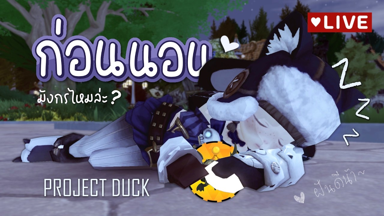 ลงมังกร IDN Vahr core DX ตอนนี้ จะได้นอนกี่โมง | Project Duck DN