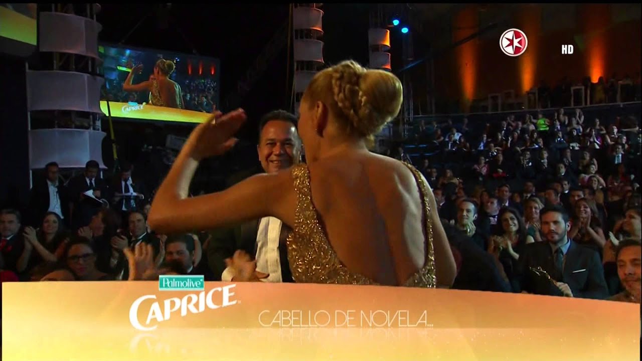 Marjorie De Sousa Mejor Villana Premios Tvynovelas 2014