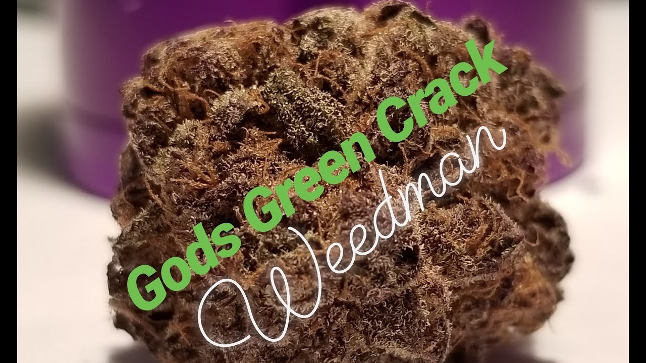 Weed Review #174 Gods Green Crack