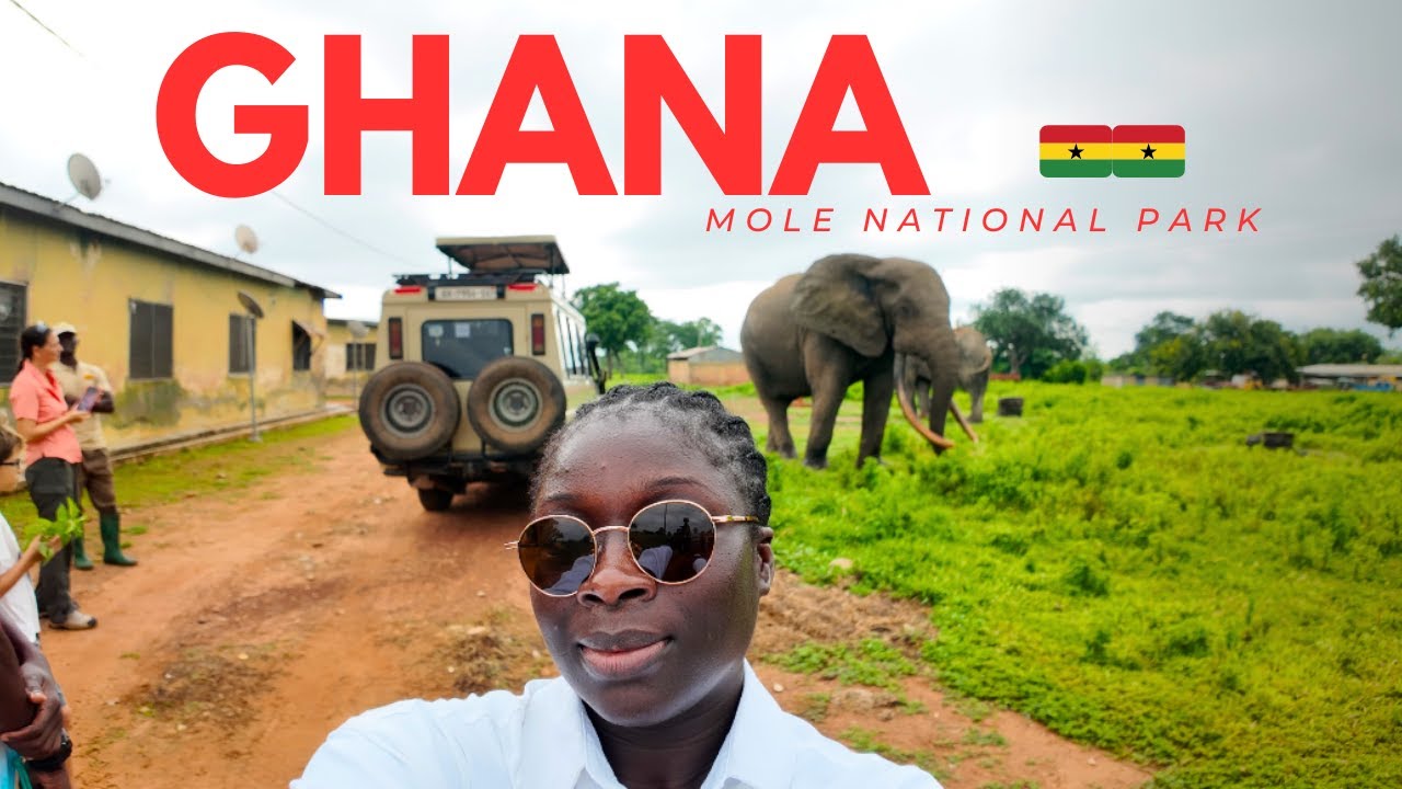Best Safari and Luxury Hotel in Ghana: Zaina Lodge and Mole National Park  🇬🇭