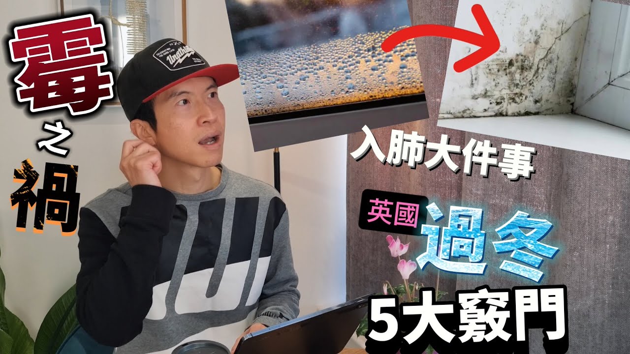 [切勿輕視] 潮濕到發霉，霉菌入肺大件事😨業主租客都要留意！英國過冬5大竅門｜點樣住好你間屋？ #BNO #移民英國