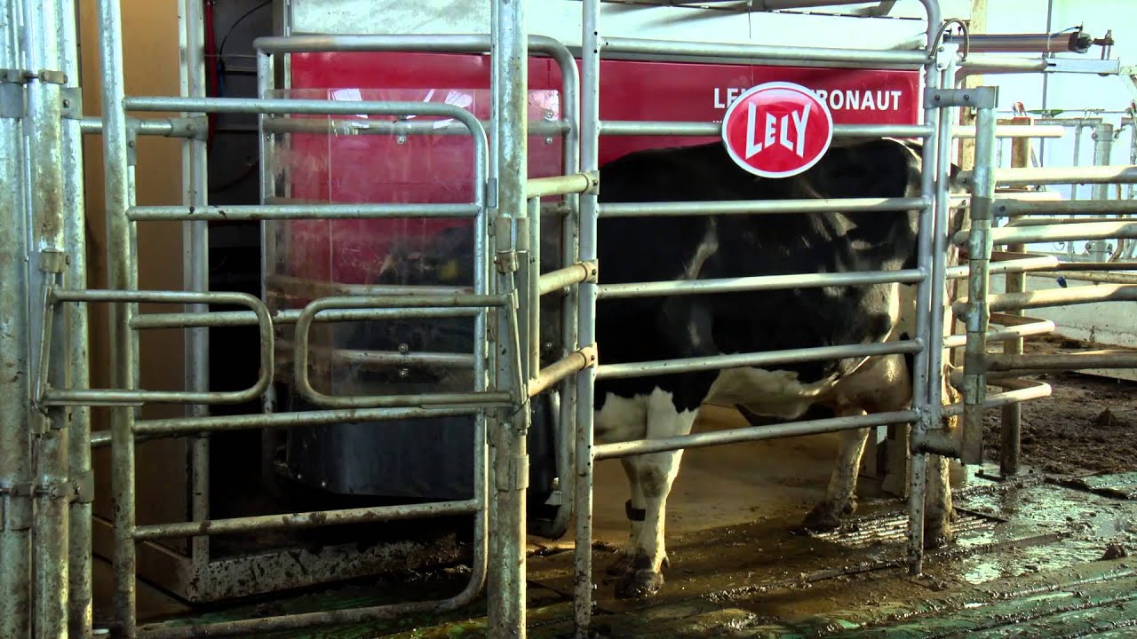 Boetech in werking bij familie de Lange Vinkeveen 2015