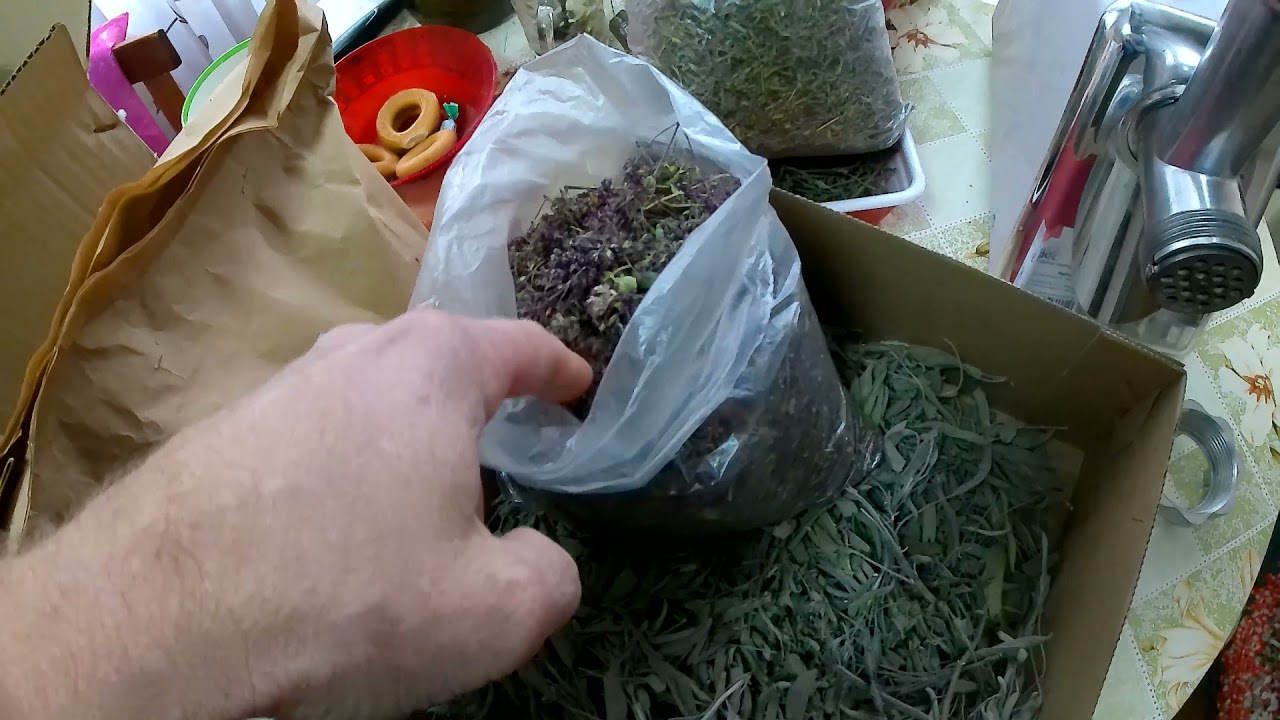 👉Полезная травяная добавка для попугаев и других птиц. Делай это для своих попугаев