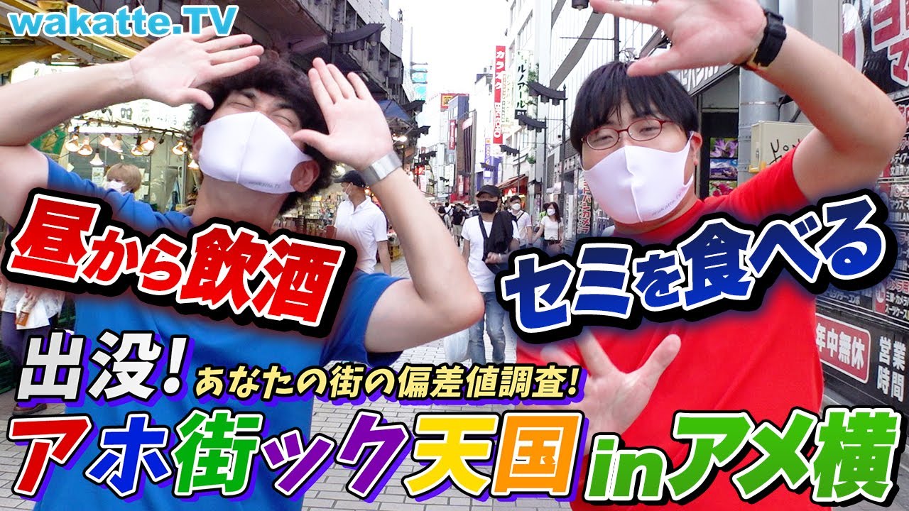 酔っ払いもカップルも勢揃い！アホ街ック天国！inアメ横【wakatte TV】#762