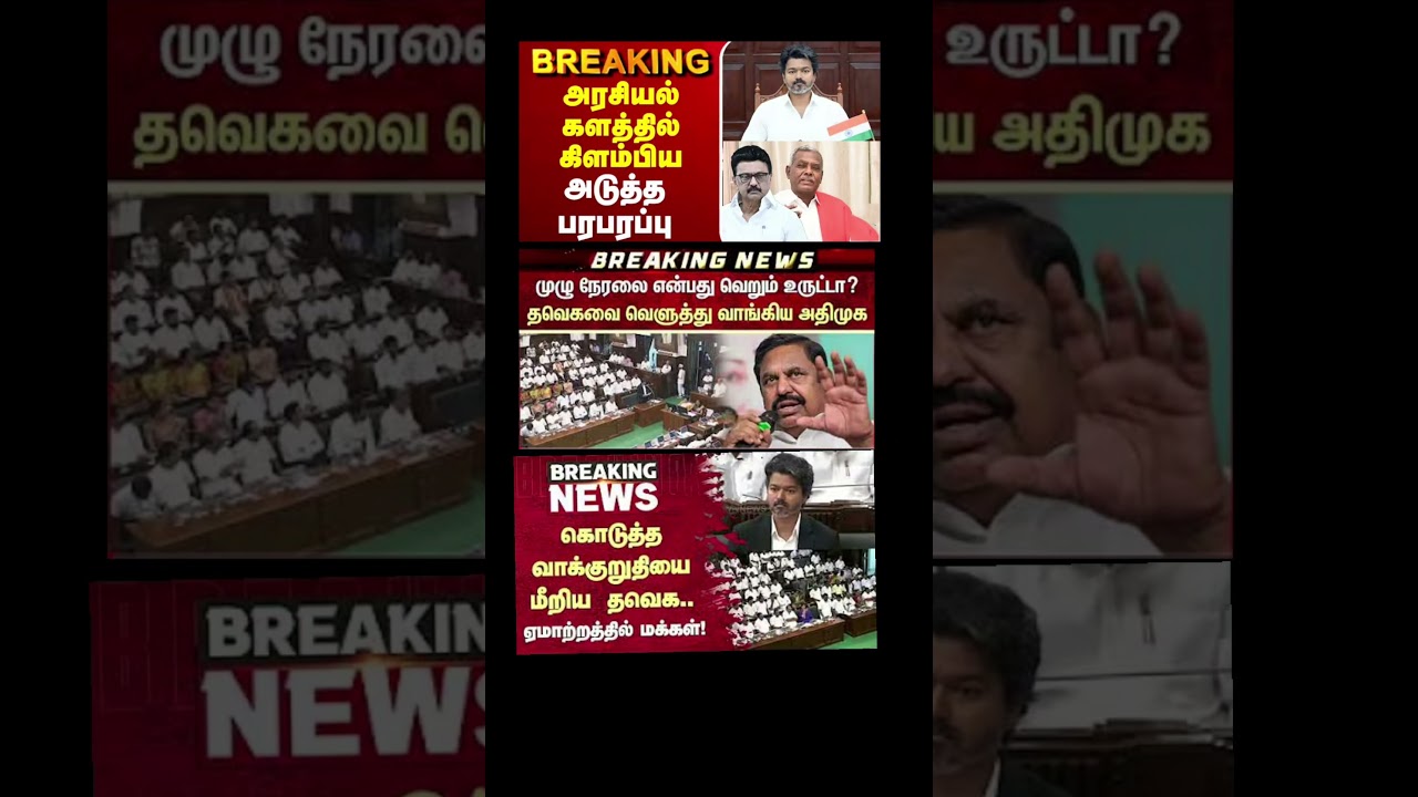 TVK thalapathy vijay love #tvk #dmk #tamil #congress #bjp