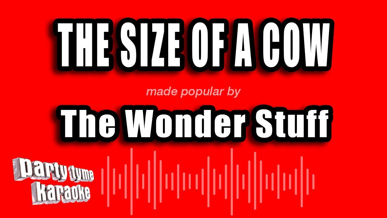 The Wonder Stuff - The Size of a Cow (Karaoke Version)
