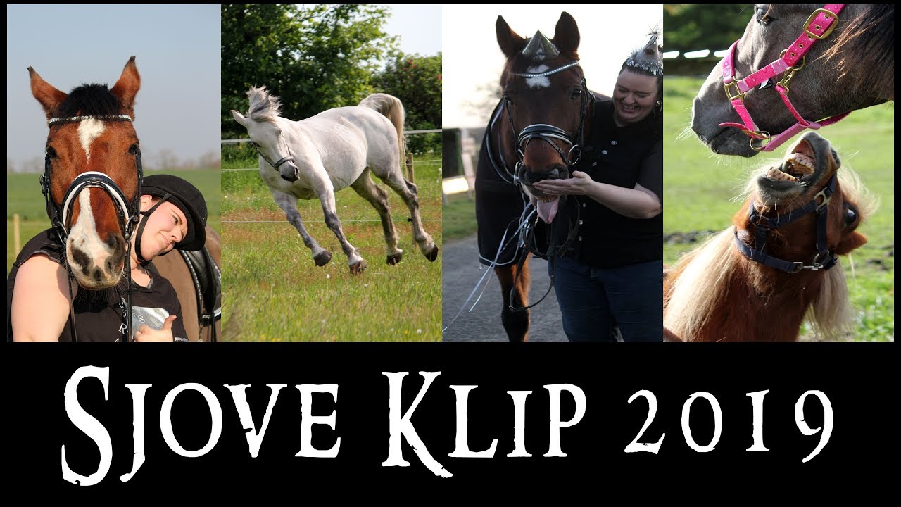 Sjove Klip 2019 [FAILS]