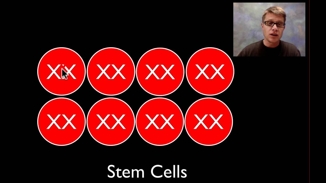 X Inactivation