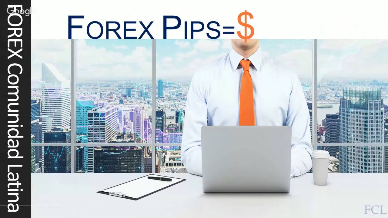 FOREX Que Es Un PIP y Como Se Gana Dinero.