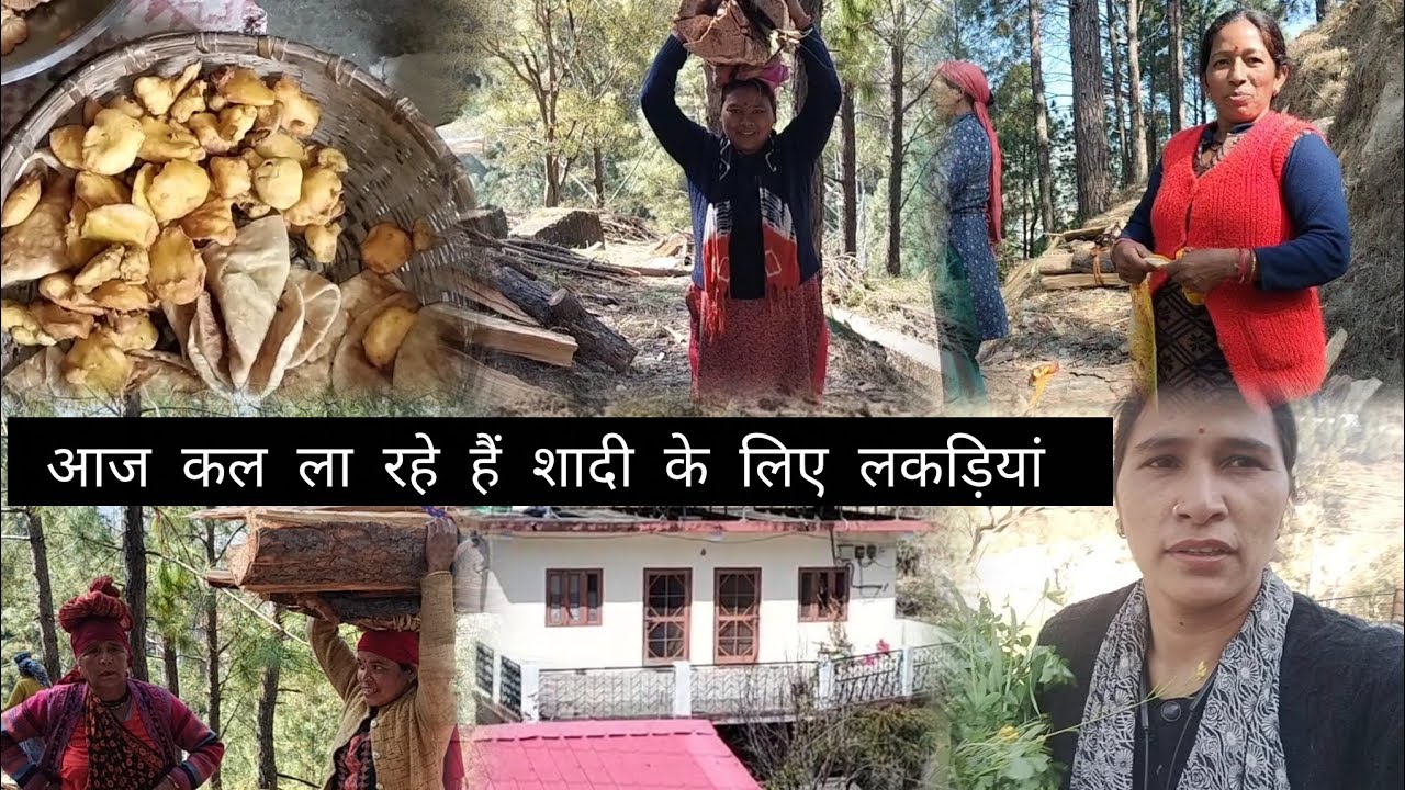 आज लाऐ हम सब लोग ऋषि की शादी की लकडियां #🥰sunita# pahadi vlog 🥰