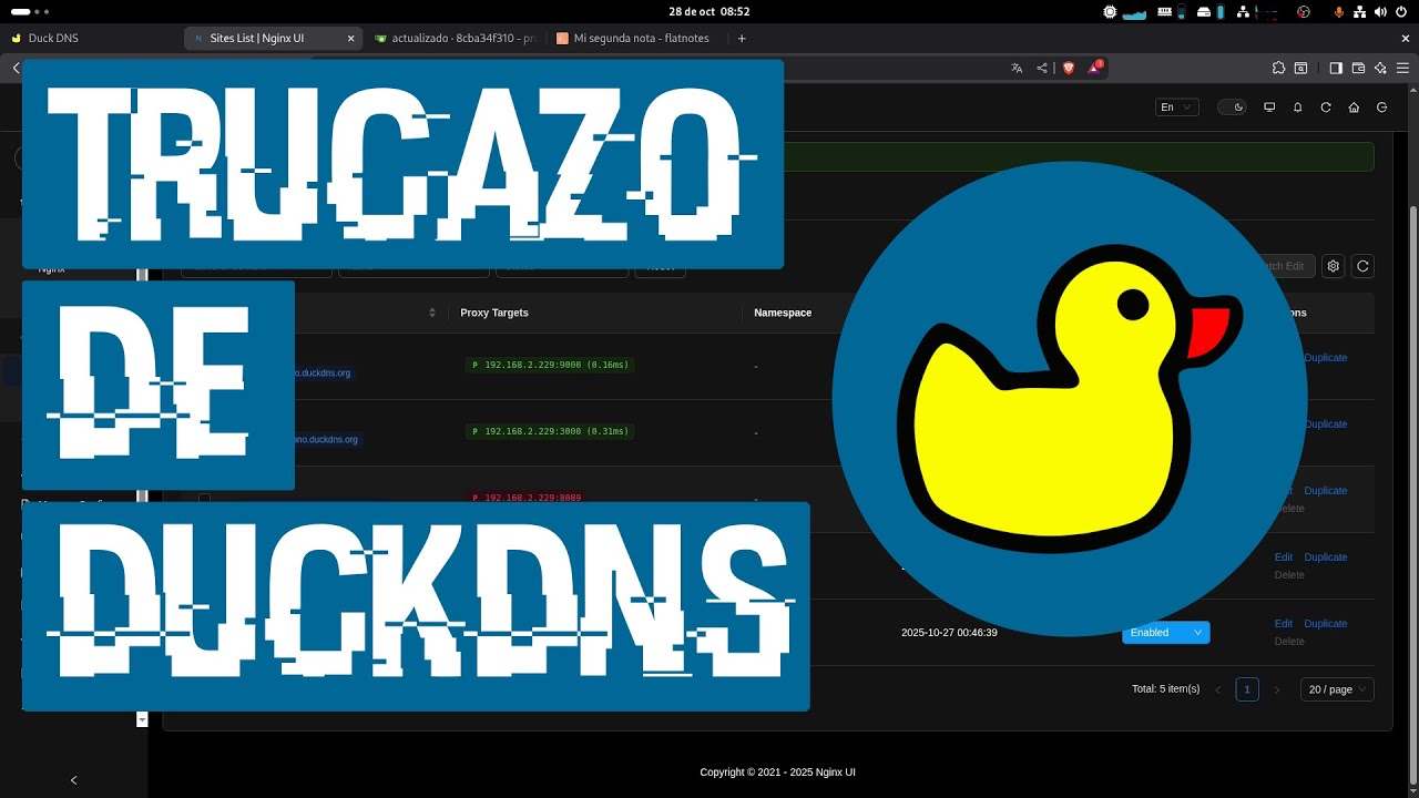 ¿Sabías este trucazo de DuckDNS? 😱